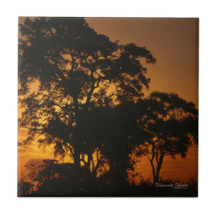 Savannah Sunset Tile