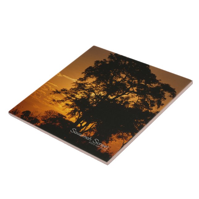 Savannah Sunset Tile (Side)