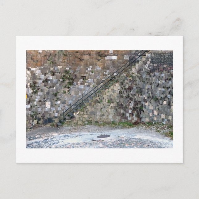 Savannah Wall Postcard (Front)