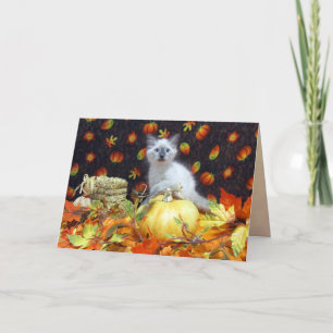 Savannah's (Cat / Kitten) Fall / Thanksgiving Card