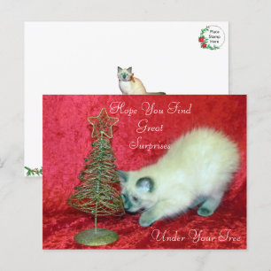 Savannah's Christmas Surprise - Balinese Cat Postcard