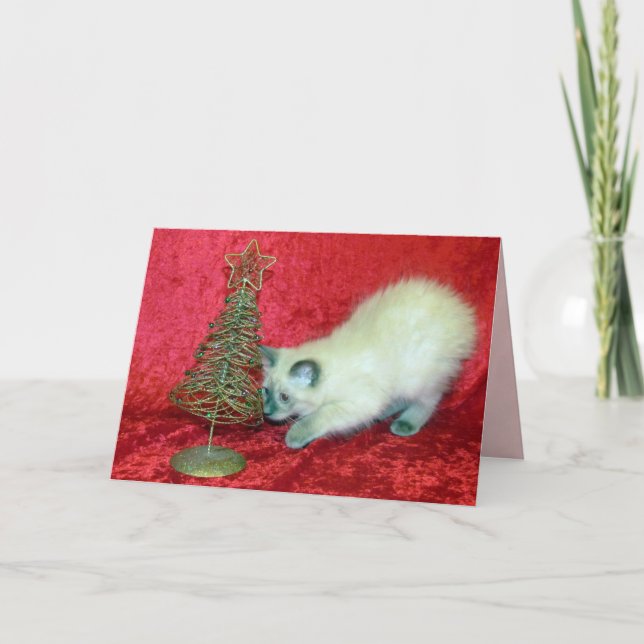 Savannah's Christmas Tree ( Cat / Kitten ) Holiday Card (Front)