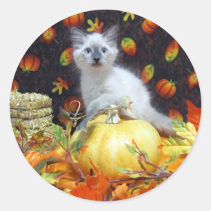 Savannah's Fall / Autumn / Halloween Cat Stickers