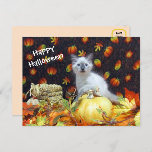 Savannah's Halloween Postcard - Siamese Cat Pic