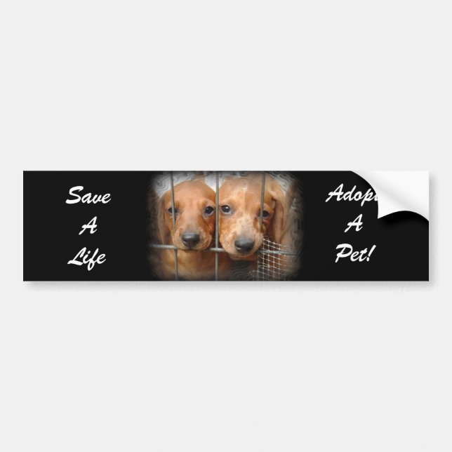 Save A Life Adopt A Pet Bumper Sticker (Front)