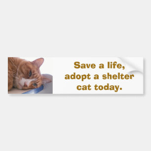 Save a life bumper sticker