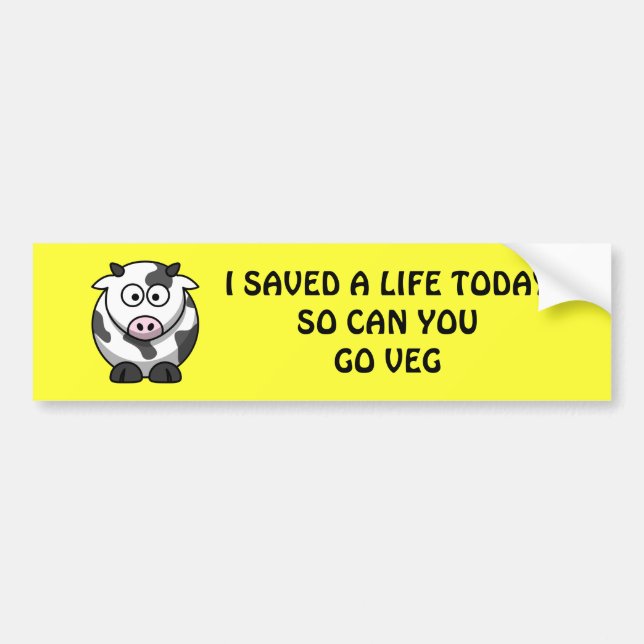 SAVE A LIFE BUMPER STICKER (Front)