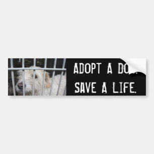 Save A Life Bumper Sticker