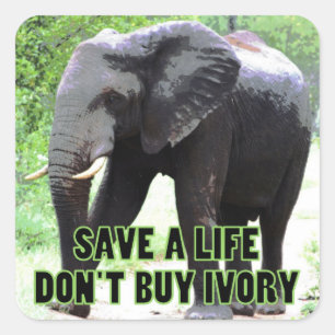 Save a Life, Don't Buy Ivory Square Sticker