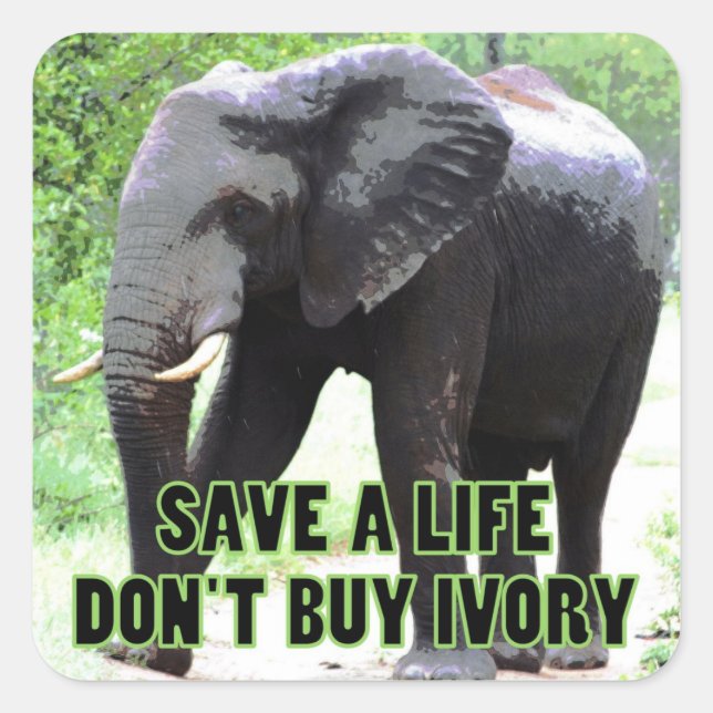 Save a Life, Don't Buy Ivory Square Sticker (Front)