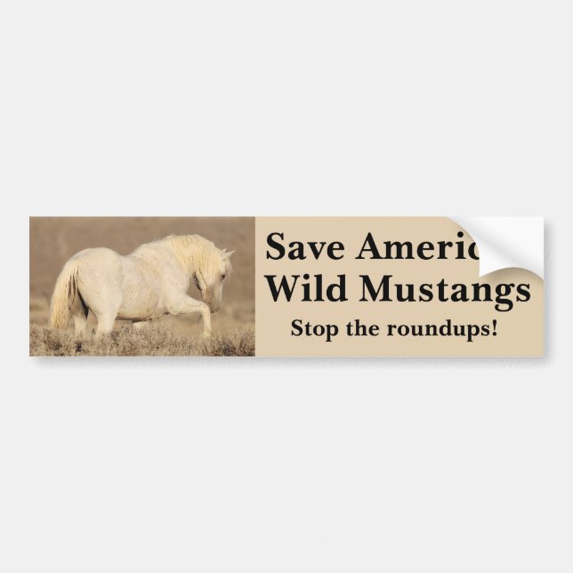 Save America's Wild Horses Bumper Sticker (Front)