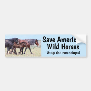 Save America's Wild Horses Bumper Sticker