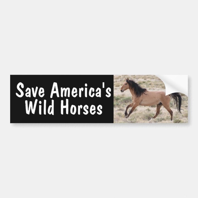 Save America's Wild Horses Bumper Sticker (Front)