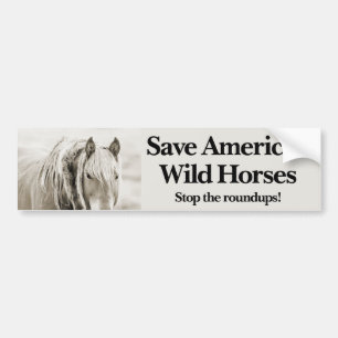 Save America's Wild Horses - Stop the Roundups! Bumper Sticker