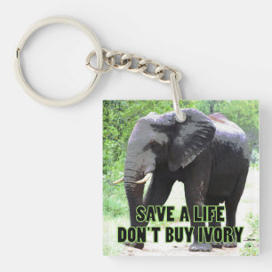 Save an Elephant's Life, Don't Buy Ivory Key Ring
