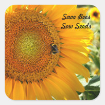 Save Bees - Sow Seeds Sticker