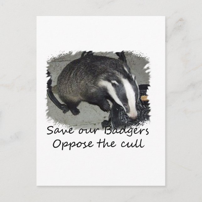 Save British Badgers, oppose the badger cull Postcard (Front)
