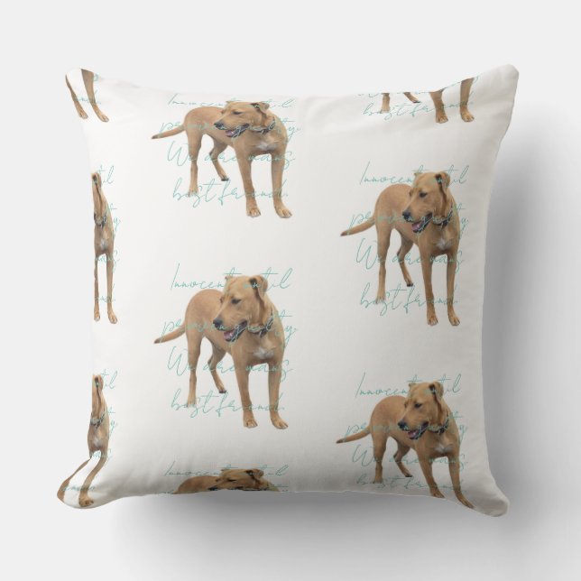 Save Chopper  Cushion (Front)