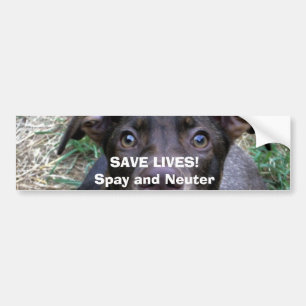 SAVE LIVES!Spay and Neuter Bumper Sticker