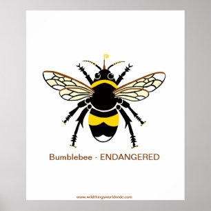 Save me! Graphic endangered BEE- poster