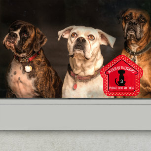 Save My Dogs Safety Alert Custom First Responder Window Cling