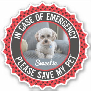 Save My Pet Safety Alert Name Photo Custom Color