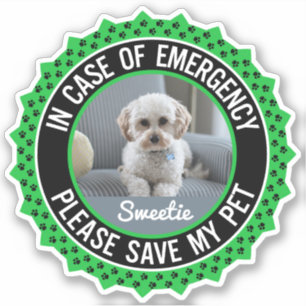 Save My Pet Safety Alert Name Photo Custom Colour