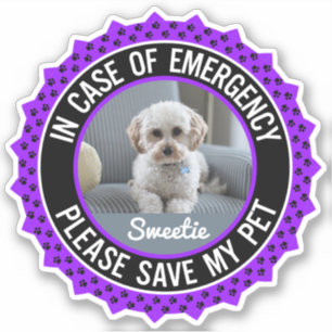 Save My Pet Safety Alert Name Photo Custom Colour