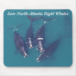 Save North Atlantic Right Whales by RoseWrites Mouse Mat