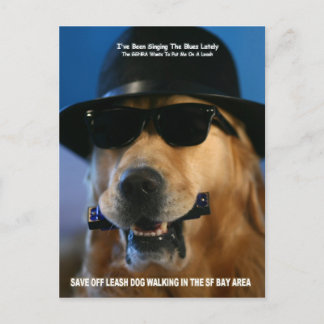 Save Off-Leash Dog Walking Congresswoman Pelosi Postcard