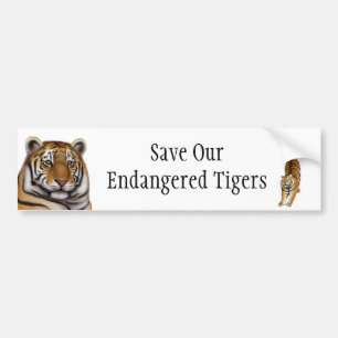 Save Our Endangered Tigers Bumper Sticker
