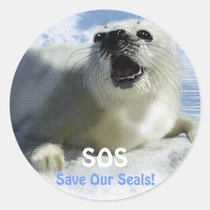 SAVE OUR HARP SEALS Design