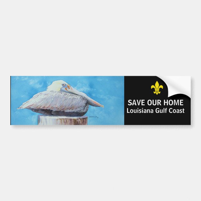 SAVE OUR HOME BUMPER STICKER (Front)