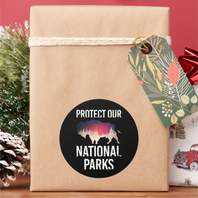 Save Our National Parks Retro Bison Explore Resist Classic Round Sticker (Holiday)
