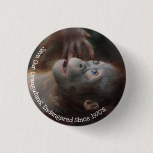 Save Our Orangutans 3 Cm Round Badge