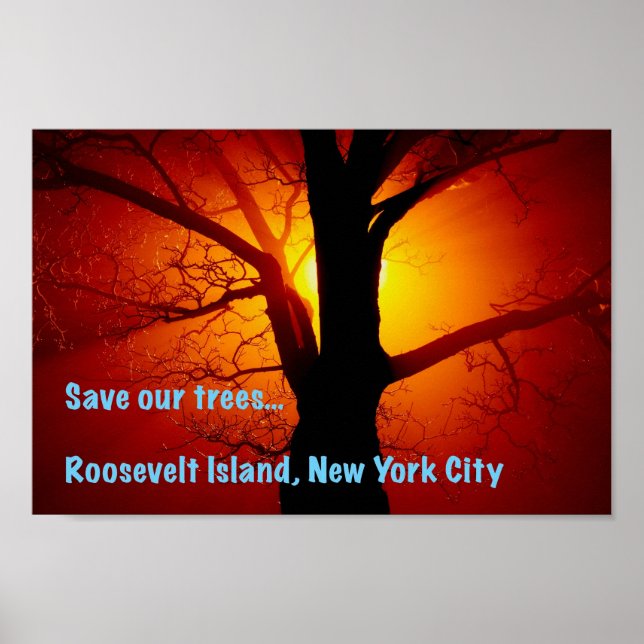 Save our trees, Roosevelt Island, New York City Poster (Front)