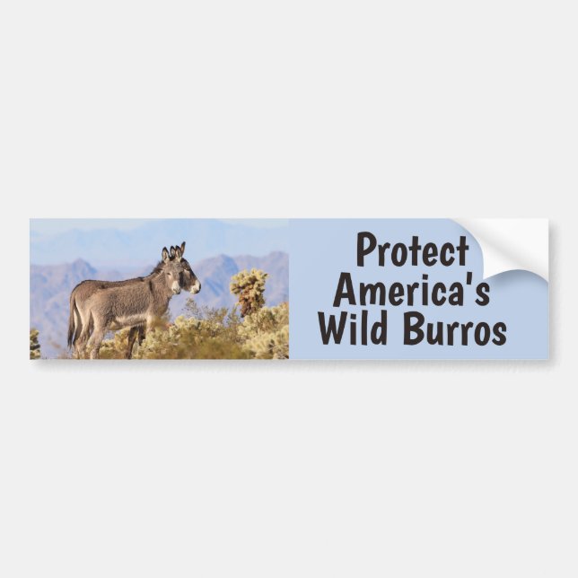 Save Our Wild Burros  Bumper Sticker (Front)