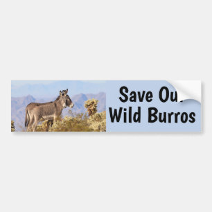 Save Our Wild Burros  Bumper Sticker