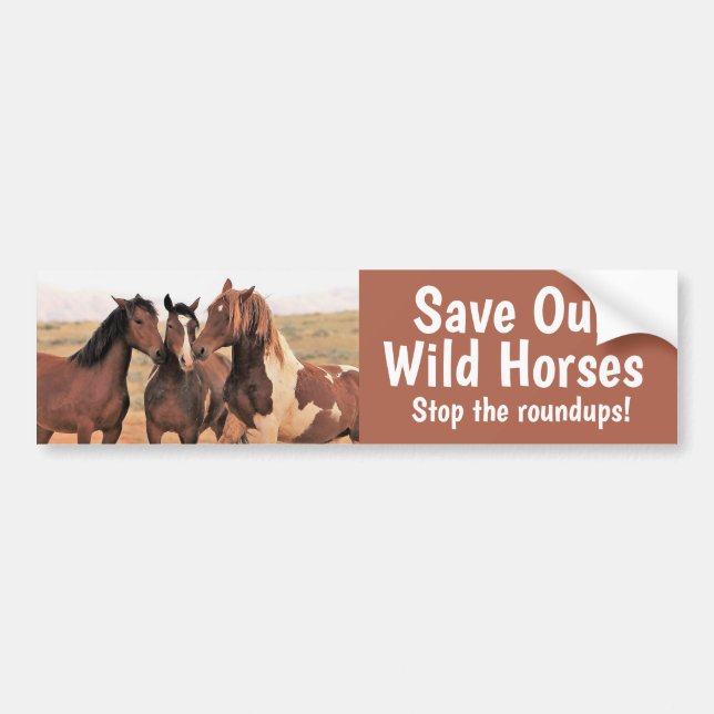 Save Our Wild Horses Bumper Sticker (Front)