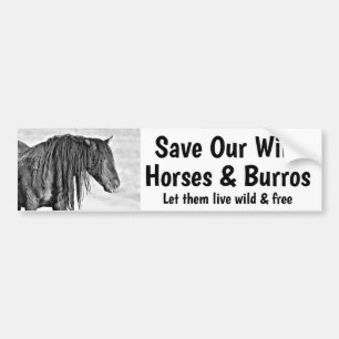Save Our Wild Horses Bumper Sticker