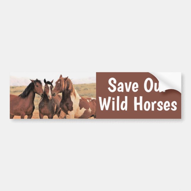 Save Our Wild Horses Bumper Sticker (Front)