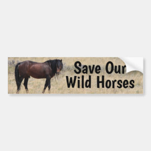 Save Our Wild Horses Campaign Bumper Sticker