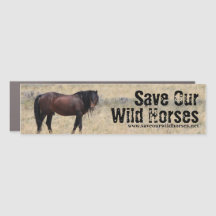 Save Our Wild Horses Campaign
