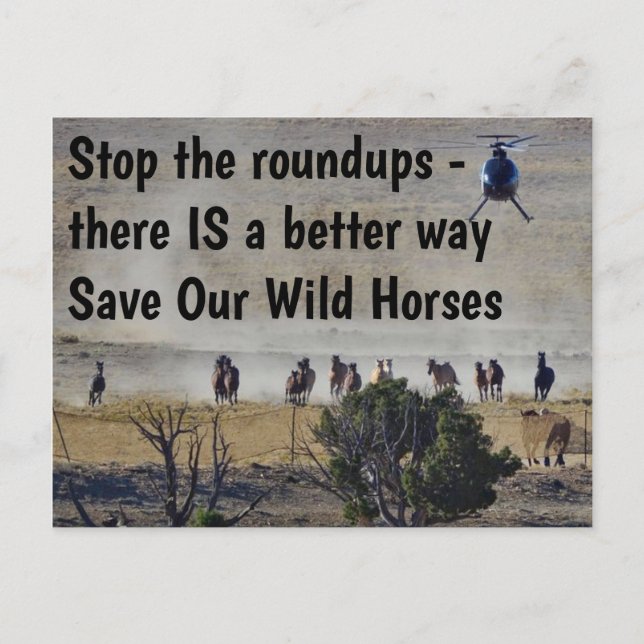 Save Our Wild Horses Campaign Postcard (Front)