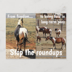 Save Our Wild Horses Campaign Postcard