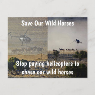 Save Our Wild Horses Campaign Postcard