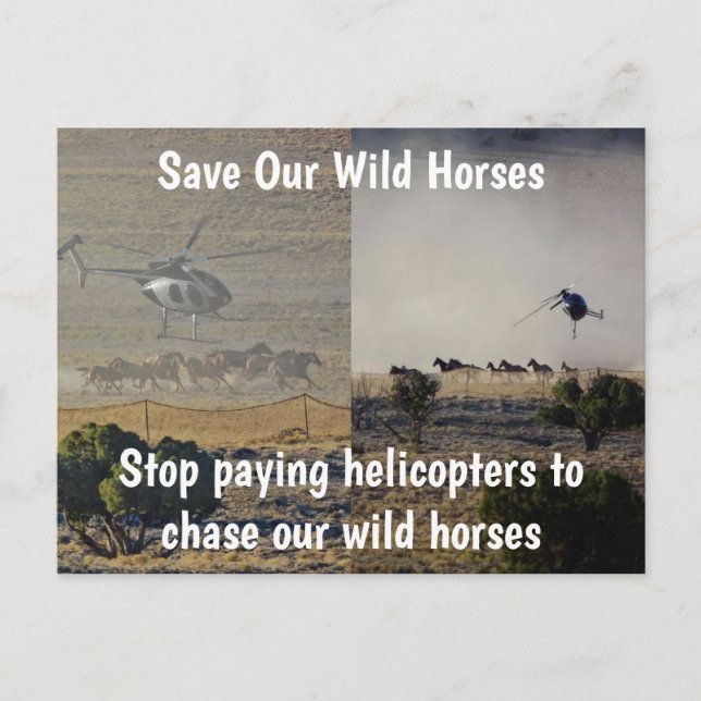 Save Our Wild Horses Campaign Postcard (Front)