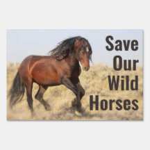 Save Our Wild Horses