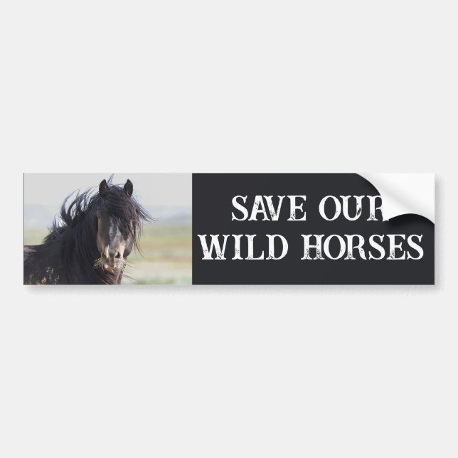 Save Our Wild Horses Jetstream Bumper Sticker (Front)