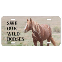 Save Our Wild Horses Onaqui